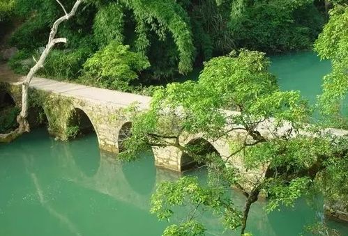 真实实案例：我的市场价格较高州之旅——账单惊魂记