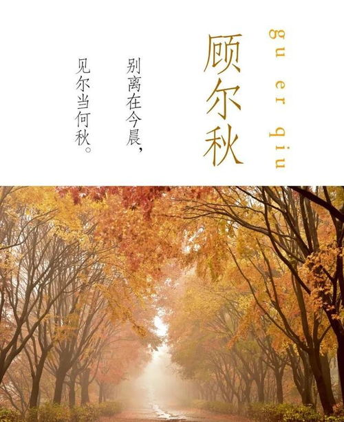 深厚文化底蕴的男孩名字解析