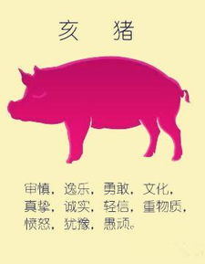 待嫁之年是哪个生肖？龟鹤之年打一精准生肖是什么生肖的意思？