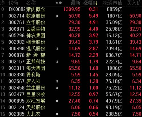 一、 格局之本质——系统性网络与运动体系