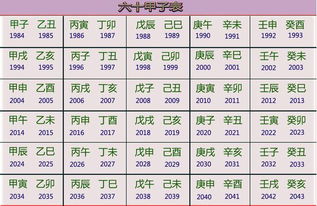 2．典型案例分析：甲子至癸未七十余载