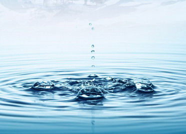 与水的亲和力：催旺运势的水产业