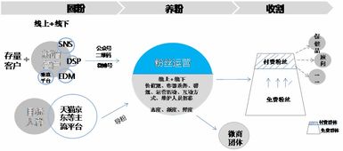 四、  实证案例与商业应用中的时间反馈