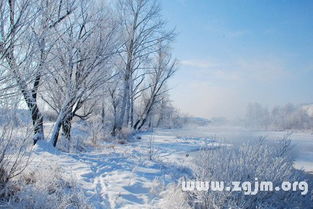 网是专业周易文化网站， 我们所提供解梦中关于梦见露成霜雪的一些分析，只是为了方便大水查阅到相关内容。我们也尽可能提供更加全面资料， 在你的生活中能起到一定帮助，你对于本文所讲梦见露成霜雪的相关内容比较满意，请你关注网或是下载安装网APP，我们随时提供你所需要的资料。你也可以随时查看每天更新资料