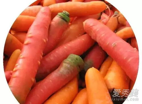 （一） 肉类：低过敏源肉类的气血补充策略