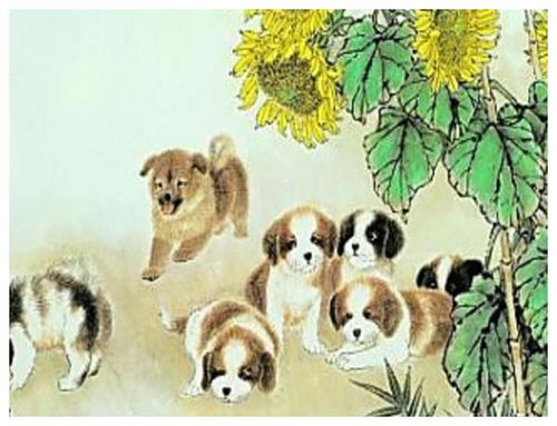 1982年属狗的人，苦命狗1982这个说法意味着什么？