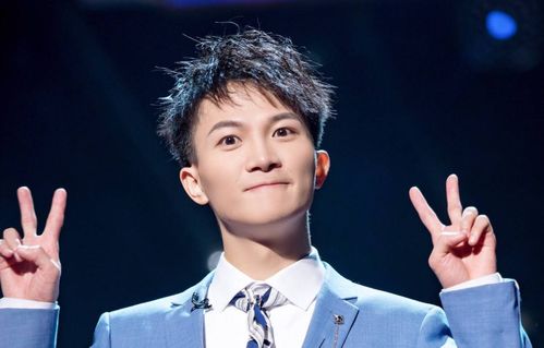 “布丁”的陨落：一个名字上的尴尬