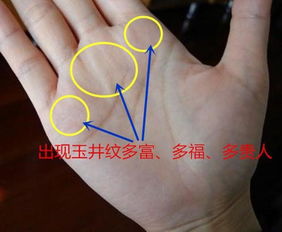 一、  掌上财运密码：传统手相学视角下的财富特征