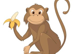 逢凶化吉的生肖动物是什么，指的是哪个生肖？