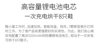 终极表白计划：一场注定失败的直播