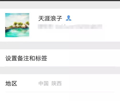 常见表情含义参考