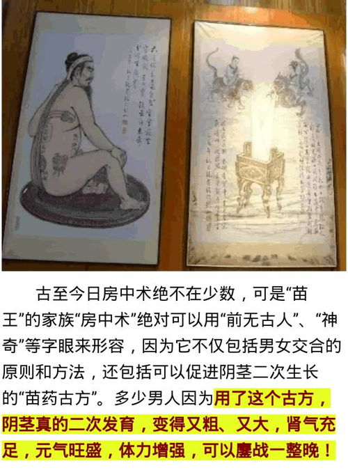 一、 房中术的理论基础及其在养精固漏中的核心意义