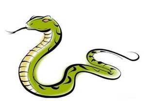 19号属蛇的人36岁财运如何，有没有什么特别的财运变化？