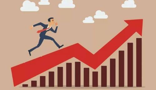 一、 身高与实用便利：生活层面之考量