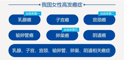 一、 传统养命观念的理论根基