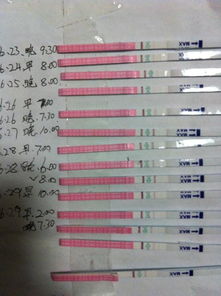 3. 精子质量问题