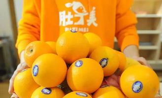 橙汁取名是否以橙字开头，寓意吉凶，有哪些忌讳需要注意？