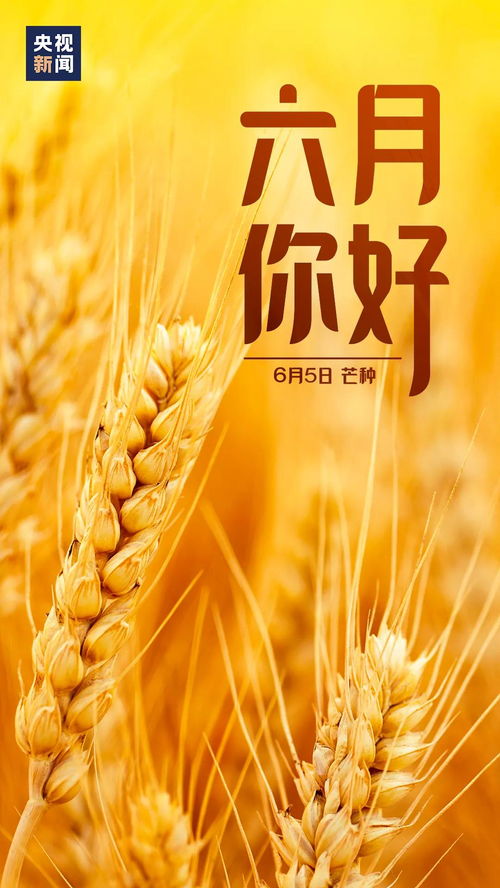 2026年六月动土吉日和动土良辰吉日分别是哪一天？