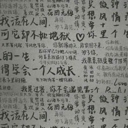 研究背景与问题提出