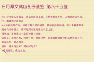 注释要点归纳