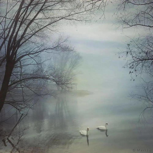 为什么美丽的风景Neng治愈心灵