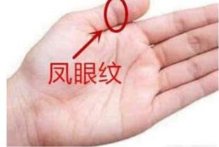 4. 夫子眼及凤眼纹