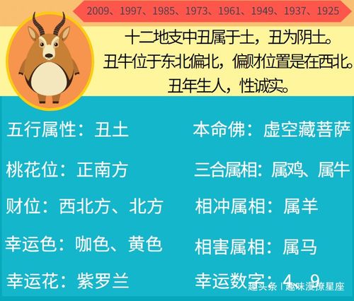 2026年下半年各生肖运势排行及每月运势详解分别指什么？