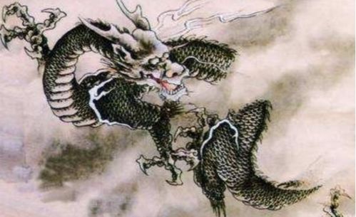 1988年属龙的人适合从事什么事业方向？