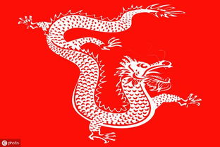 2026年属兔的蛇年运势中，开运物件指的是什么？