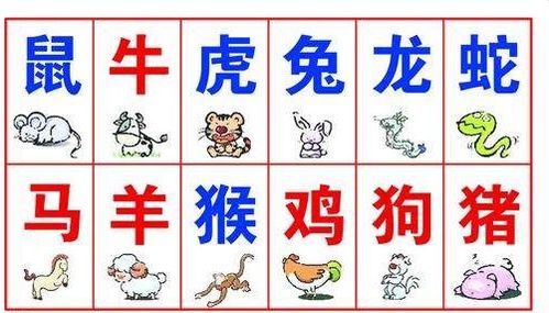 1990年属什么生肖，今年多少岁？