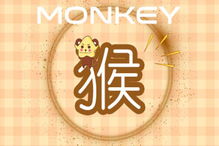 属猴：机智灵活却不容忍妥协