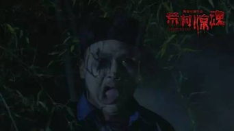 一、  ：荒村古宅的空间场域与历史记忆