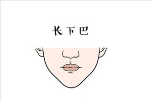 3. 果断决策的施行能力