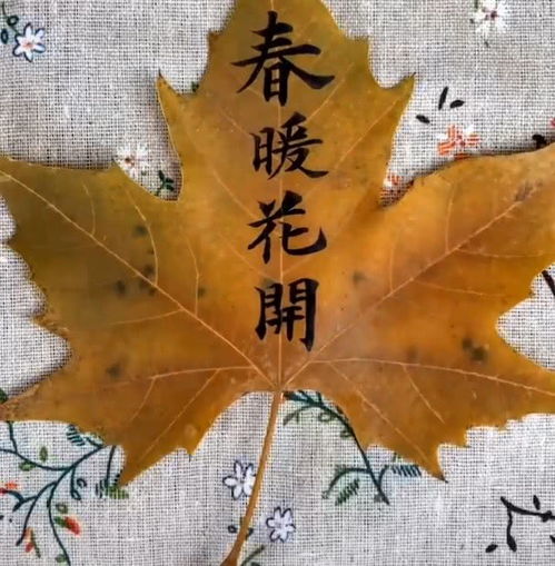 四、 个人案例的主观呈现：经验叙事中的信度考量