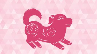 中间的生肖符号代表哪个生肖？