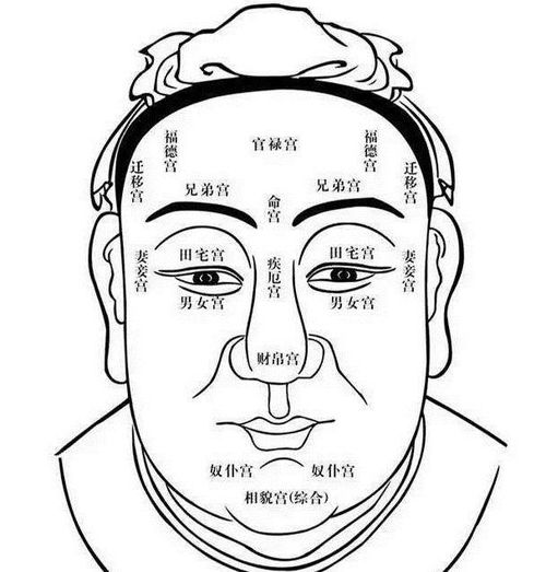 1. 鹰钩鼻梁：权威与统御之象征