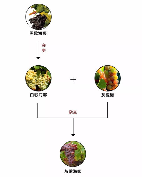 三、 异性知己关系的潜在损较差力
