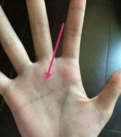 一、断掌的定义与手相象征