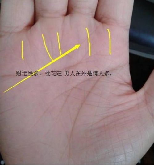 手相中哪些部位能看出烂桃花？