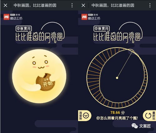 风水方位与色彩植卉的调和之道