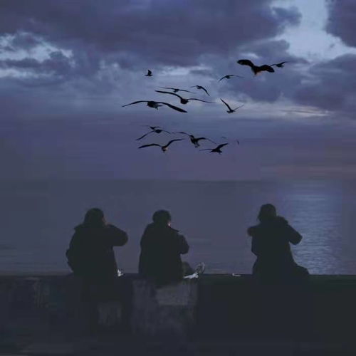 毕业季的情感投射：分离与友谊的辩证统一