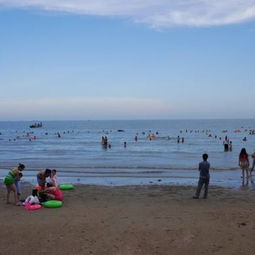 住宿选择：经济型酒店的预订策略