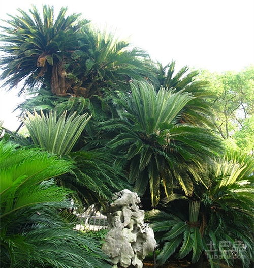 ：风水学视域下的环境生态与人居和谐