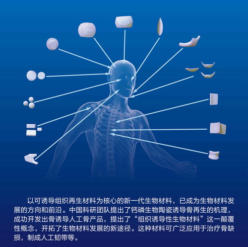 典型梦象及其对应数字之系统阐释