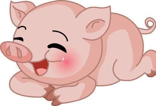 属猪的属相暗和是什么包括哪些三合和六个合生肖？