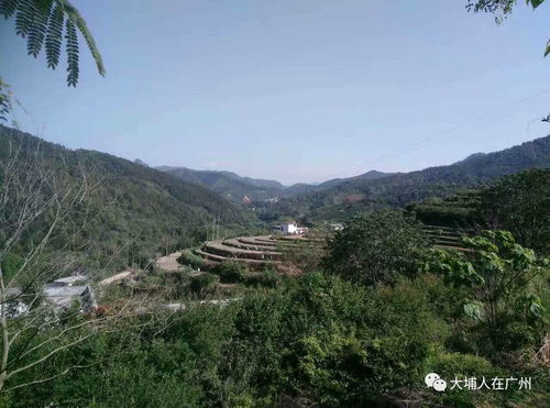 二、  宏观战略：风水宝地转化为经济机遇的实证分析