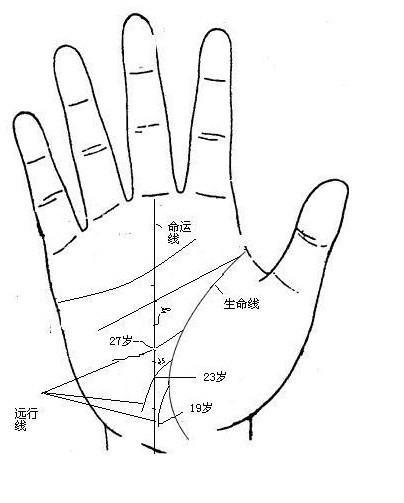 手相中狡猾手纹和律师纹分别位于哪里？