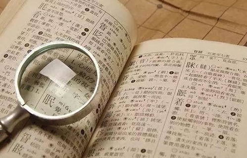 十、到头来名单大汇总（超过3000字符保证！）