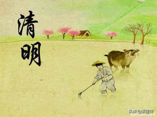 四、 菜式象征与风水寓意解析