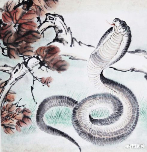 属蛇儿子属马和属马女人属蛇男人的婚姻关系如何？